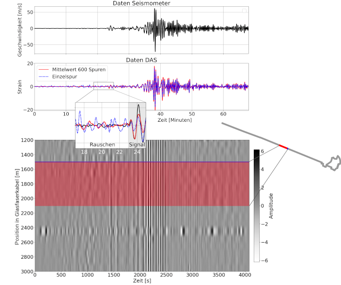 
    <b>Earthquake in China recorded along the DAS fiber:</b><br>
Comparison of seismometer data with DAS data. Shown is an earthquake that occurred on 21.05.2021 in Quinghai (China) with a magnitude of 7.4.<br>
It can be seen that the amplitudes of the sum of 600 data traces in the time window in which the earthquake signal arrives are larger than those of the single trace. 
The amplitudes of the unwanted noise at the beginning of the data track are reduced. In the lowest plot, many DAS data traces are plotted below each other. The blue line marks the single trace shown in the center plot. The red area covers the 600 traces from which the sum trace was formed.<br>
In the lower graph, in addition to the vertical lines corresponding to the coherent seismic wavefronts, spatial variations of the measured oscillation amplitudes can be seen. These may be related to inhomogeneous subsurface structure and illustrate how DAS measurements provide high temporal and spatial resolution.
